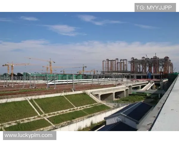 重庆排球队的奋斗之路：从默默无闻到奥运舞台的辉煌历程